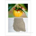 High Quality Garcinia Cambogia Extract